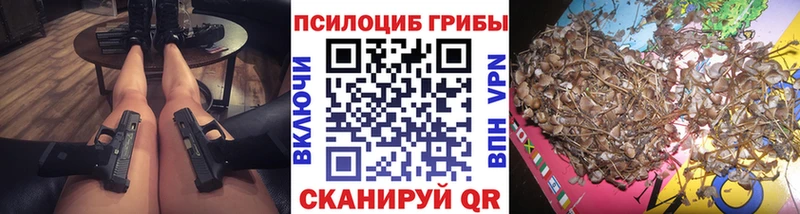 ОМГ ОМГ маркетплейс  Углегорск  Галлюциногенные грибы Psilocybe 